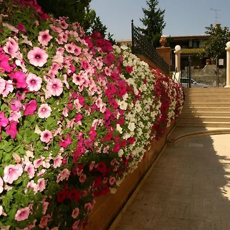 Tortorella Tortoreto