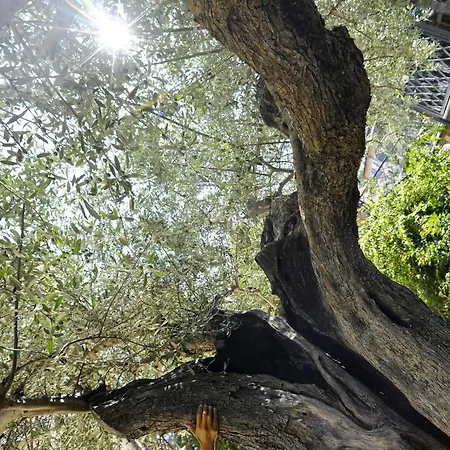 Resort Tortorella Tortoreto