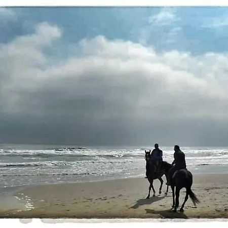 Resort Tortorella 3*