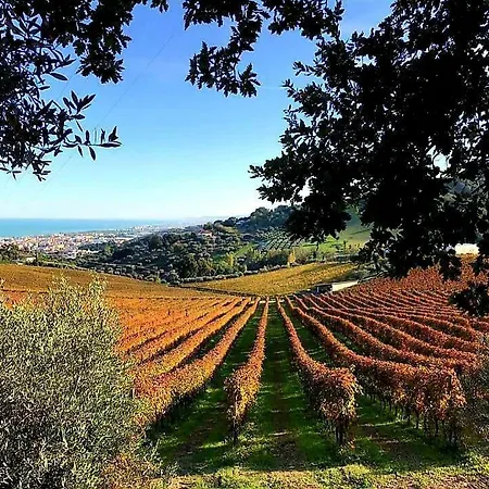 Tortorella منتجع Tortoreto