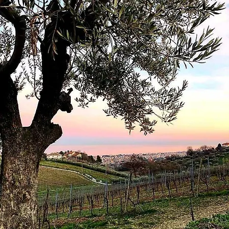 منتجع Tortorella Tortoreto