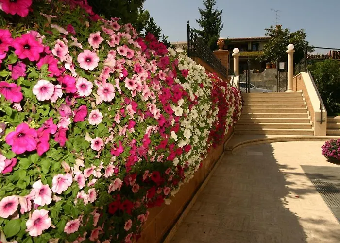 Tortorella Tortoreto