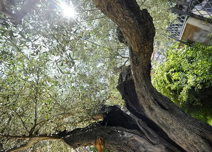 Resort Tortorella Tortoreto