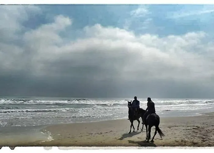 Resort Tortorella 3*