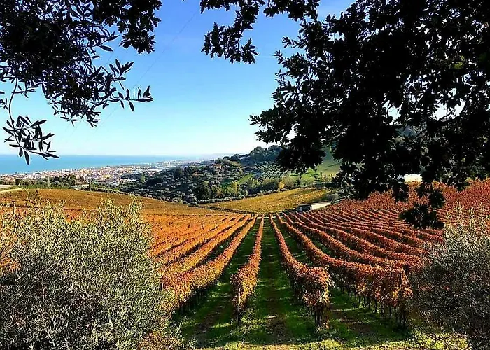 Tortorella Resort Tortoreto