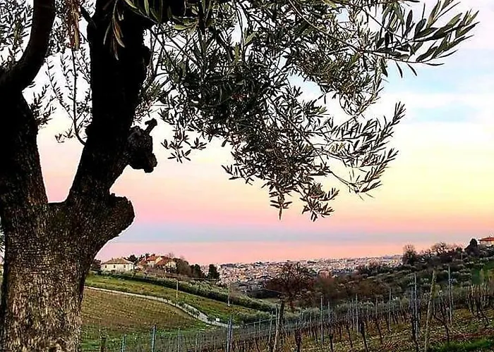 Resort Tortorella Tortoreto